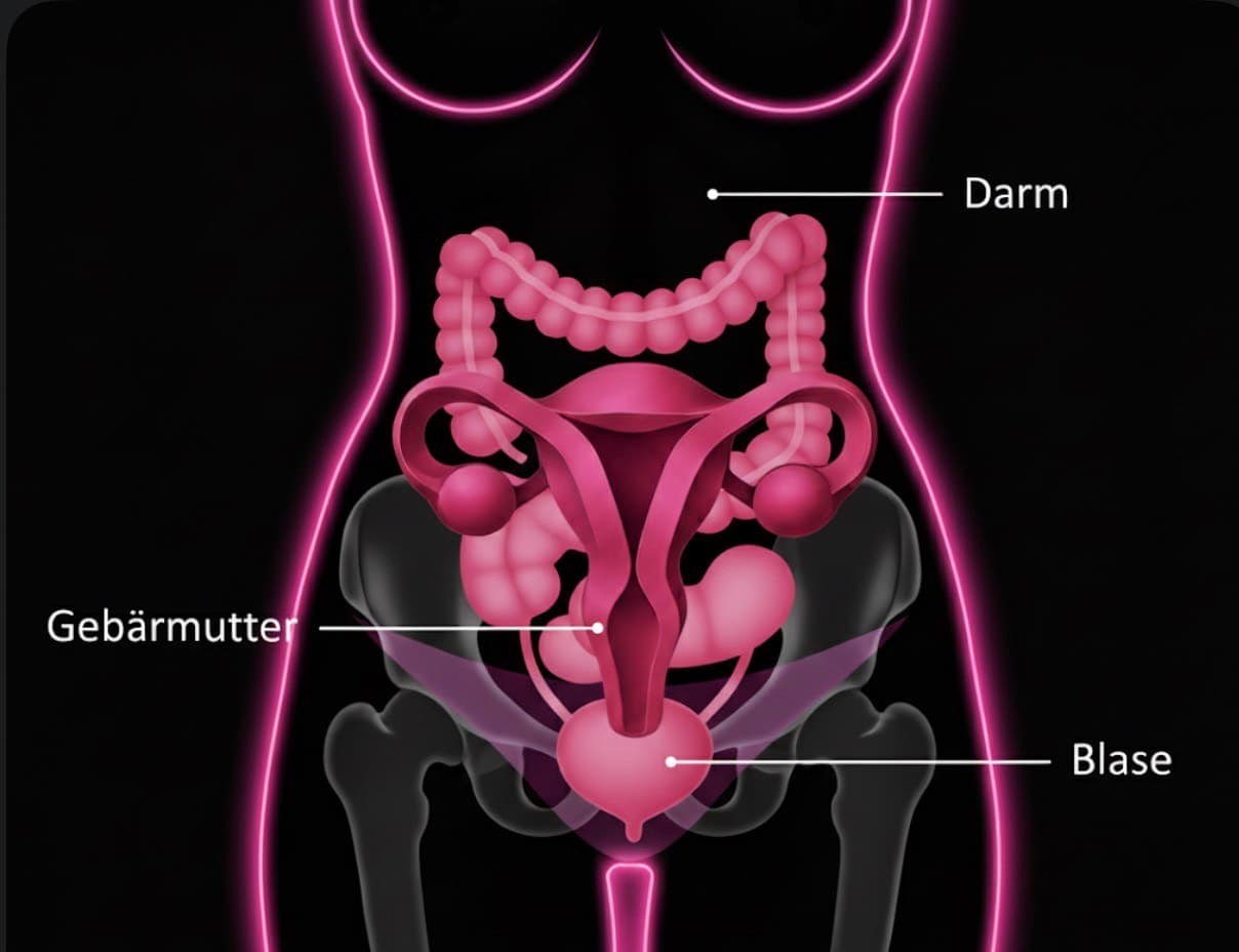 Anatomie weiblicher Körper